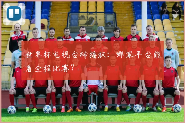 世界杯电视台转播权：哪家平台能看全程比赛？