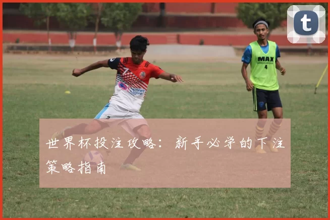 世界杯投注攻略:新手必学的下注策略指南