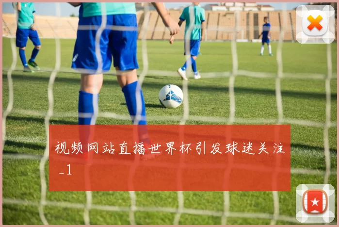 视频网站直播世界杯引发球迷关注 _1