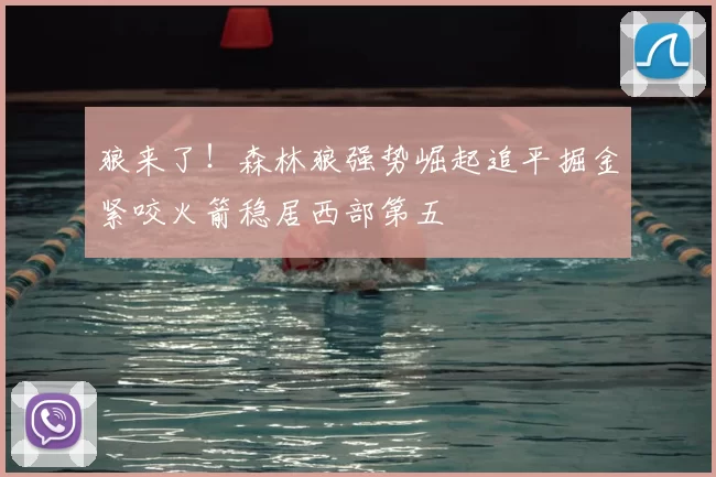 狼来了！森林狼强势崛起追平掘金紧咬火箭稳居西部第五