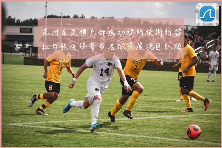 苏州东吴俱乐部成功续约埃斯特雷拉与张凌峰等多名球员展现团队稳定性