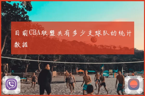 目前CBA联盟共有多少支球队的统计数据