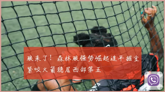 狼来了！森林狼强势崛起追平掘金紧咬火箭稳居西部第五