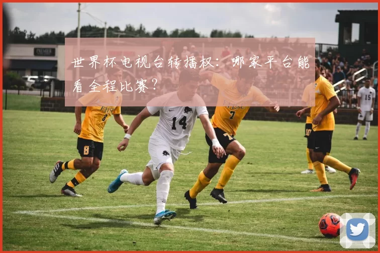 世界杯电视台转播权:哪家平台能看全程比赛?