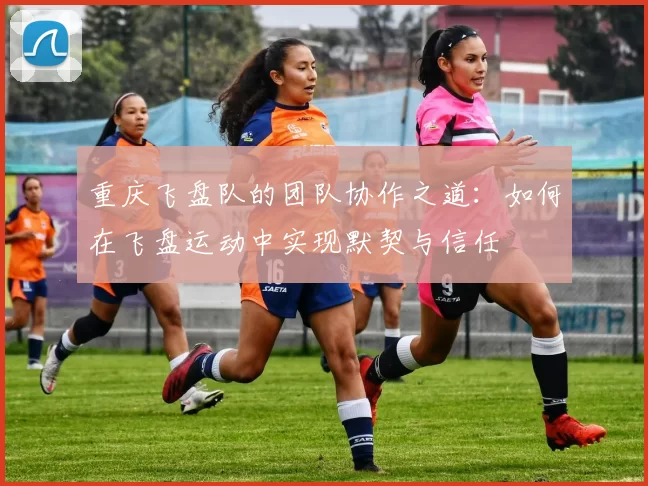 重庆飞盘队的团队协作之道：如何在飞盘运动中实现默契与信任