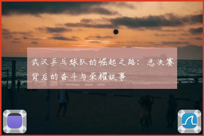 武汉乒乓球队的崛起之路:总决赛背后的奋斗与荣耀故事