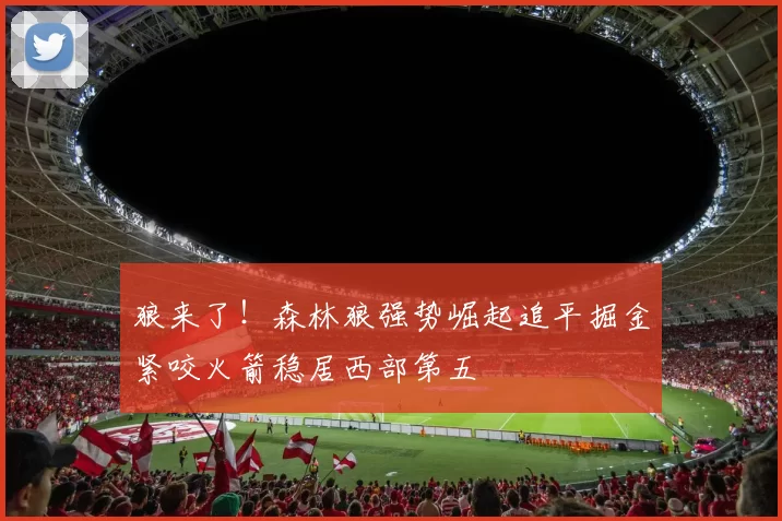 狼来了！森林狼强势崛起追平掘金紧咬火箭稳居西部第五