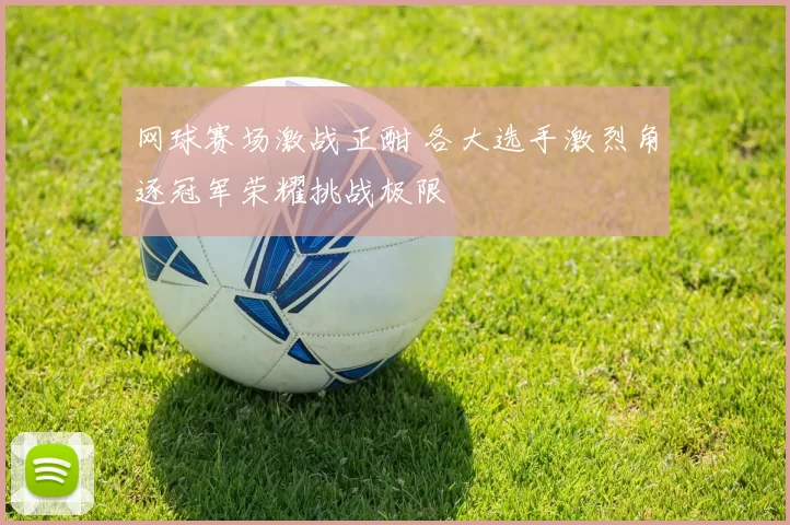 网球赛场激战正酣 各大选手激烈角逐冠军荣耀挑战极限