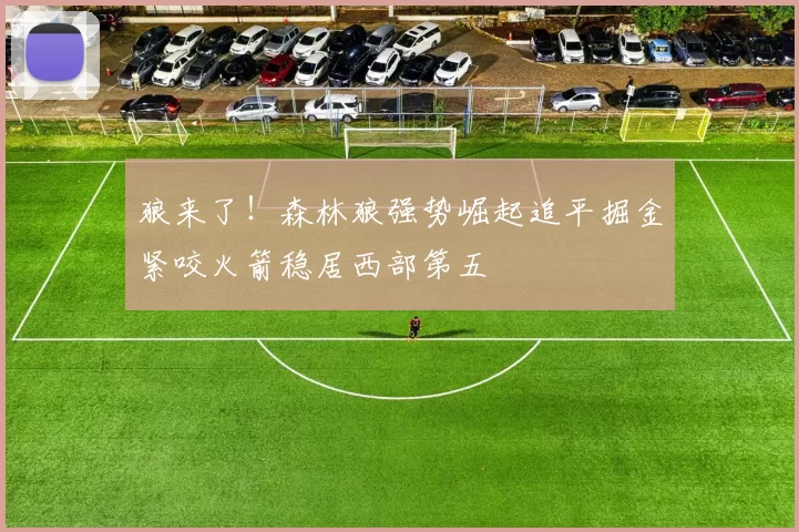 狼来了!森林狼强势崛起追平掘金紧咬火箭稳居西部第五
