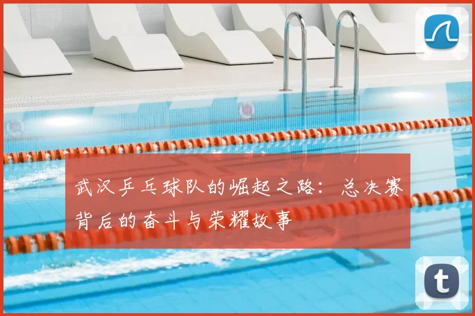 武汉乒乓球队的崛起之路:总决赛背后的奋斗与荣耀故事