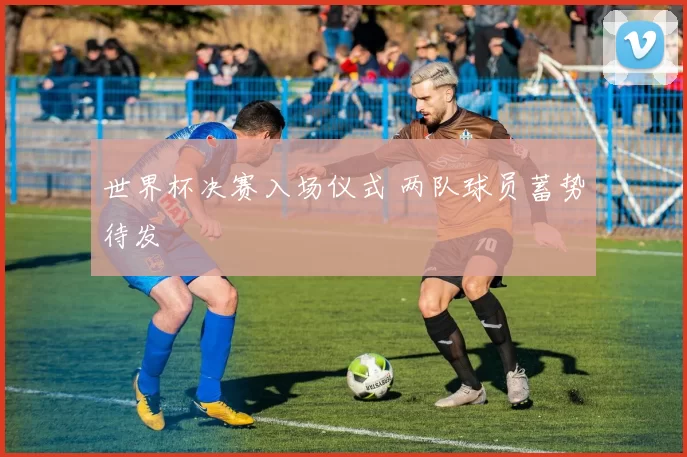 世界杯决赛入场仪式 两队球员蓄势待发