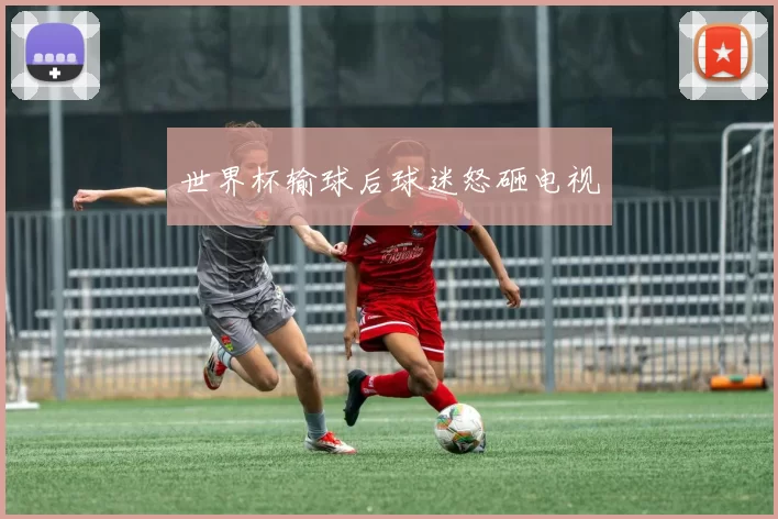 世界杯输球后球迷怒砸电视