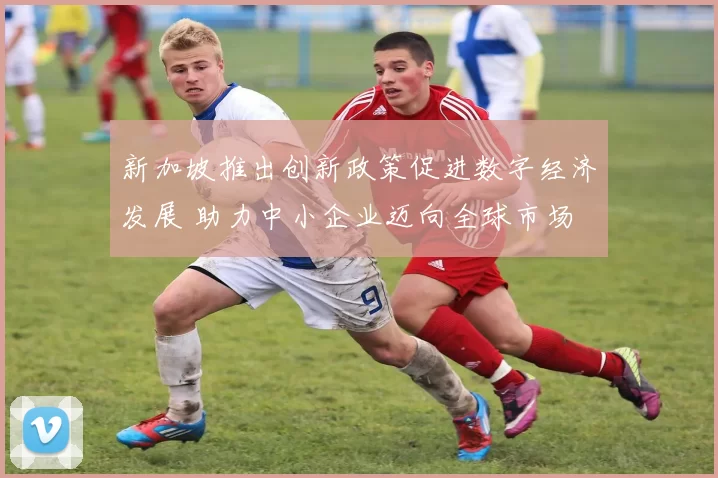 新加坡推出创新政策促进数字经济发展 助力中小企业迈向全球市场