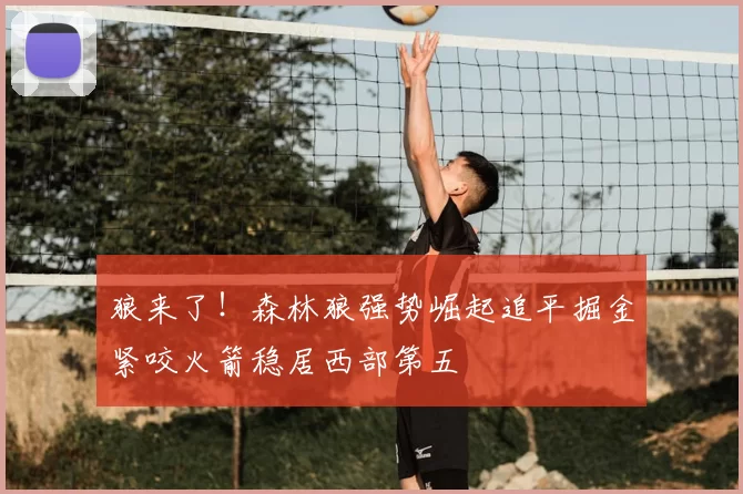狼来了!森林狼强势崛起追平掘金紧咬火箭稳居西部第五