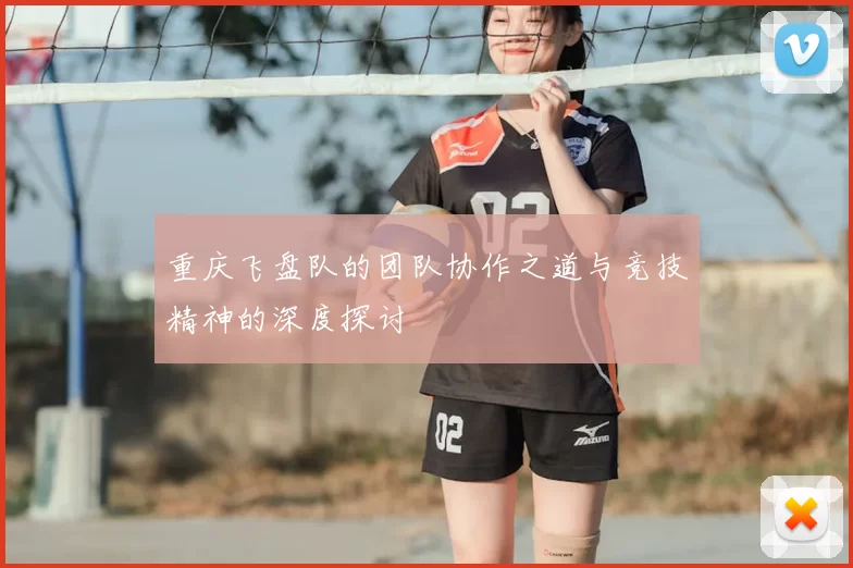 重庆飞盘队的团队协作之道与竞技精神的深度探讨