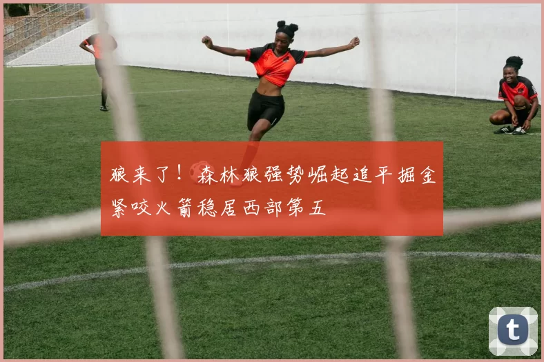 狼来了！森林狼强势崛起追平掘金紧咬火箭稳居西部第五