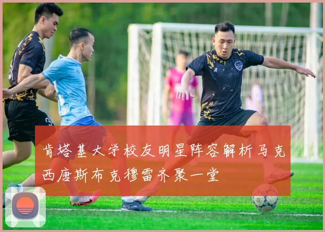 肯塔基大学校友明星阵容解析马克西唐斯布克穆雷齐聚一堂