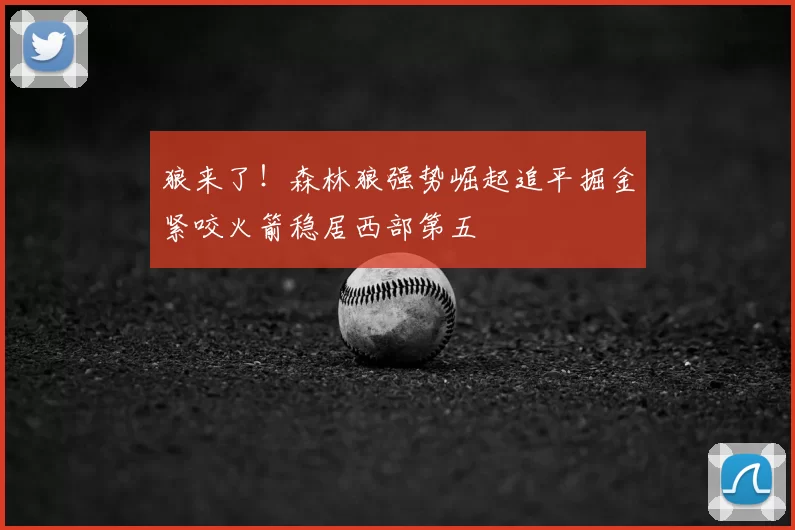 狼来了!森林狼强势崛起追平掘金紧咬火箭稳居西部第五