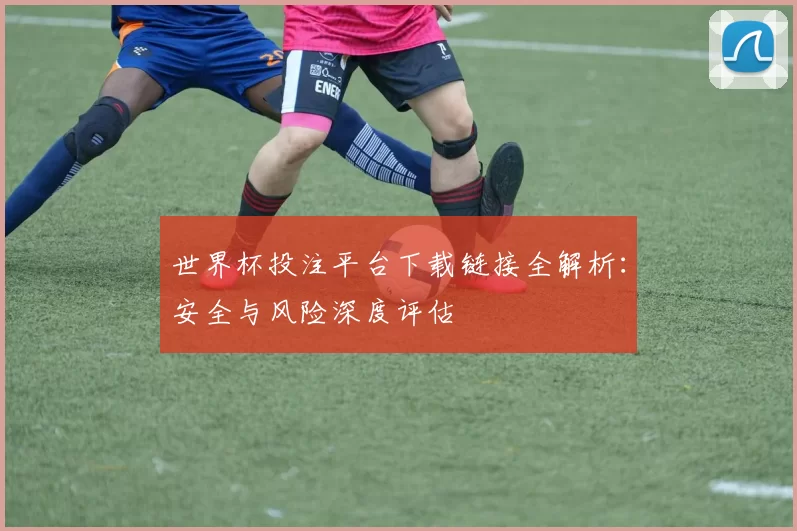 世界杯投注平台下载链接全解析:安全与风险深度评估