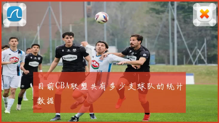 目前CBA联盟共有多少支球队的统计数据