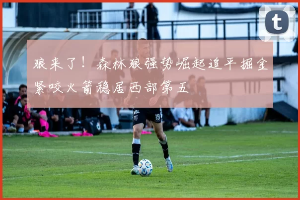 狼来了！森林狼强势崛起追平掘金紧咬火箭稳居西部第五